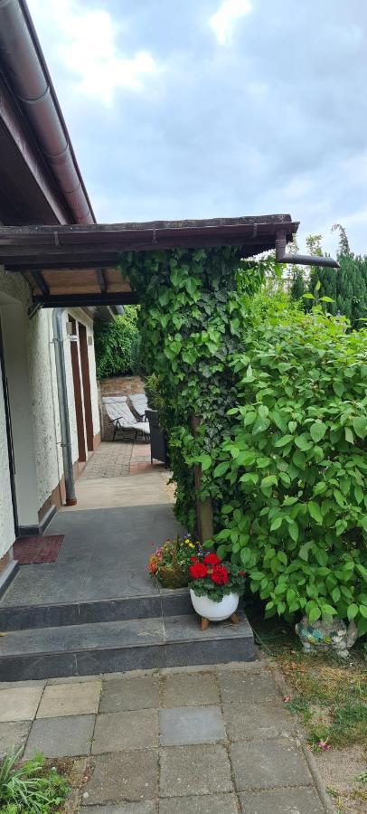 Ferienwohnung Hampel Altglietzen Esterno foto